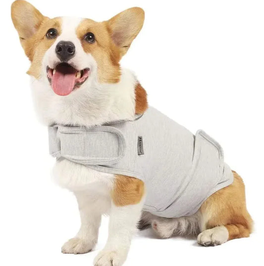 Dog Anxiety Relief Vest - Calm Your Pup! RejuvaPaws